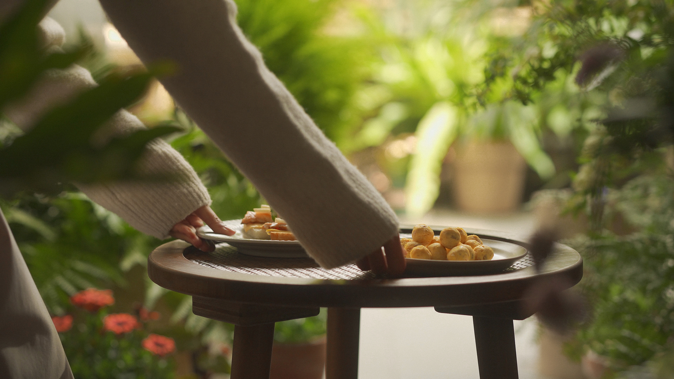 trailer，advertisement，Photography，Camera，originality，literature，cat，Pets，