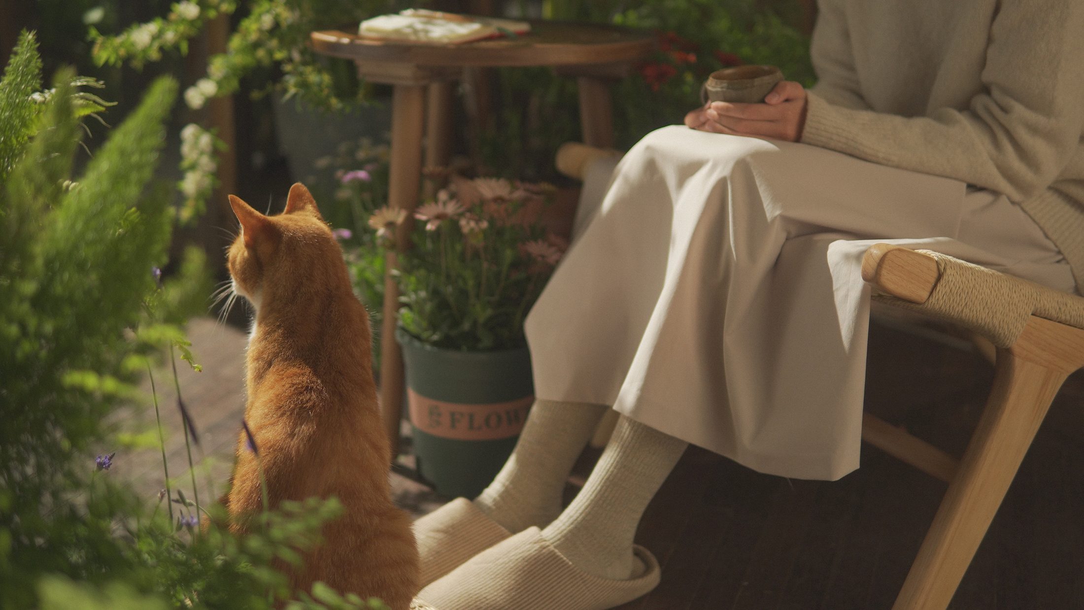 trailer，advertisement，Photography，Camera，originality，literature，cat，Pets，