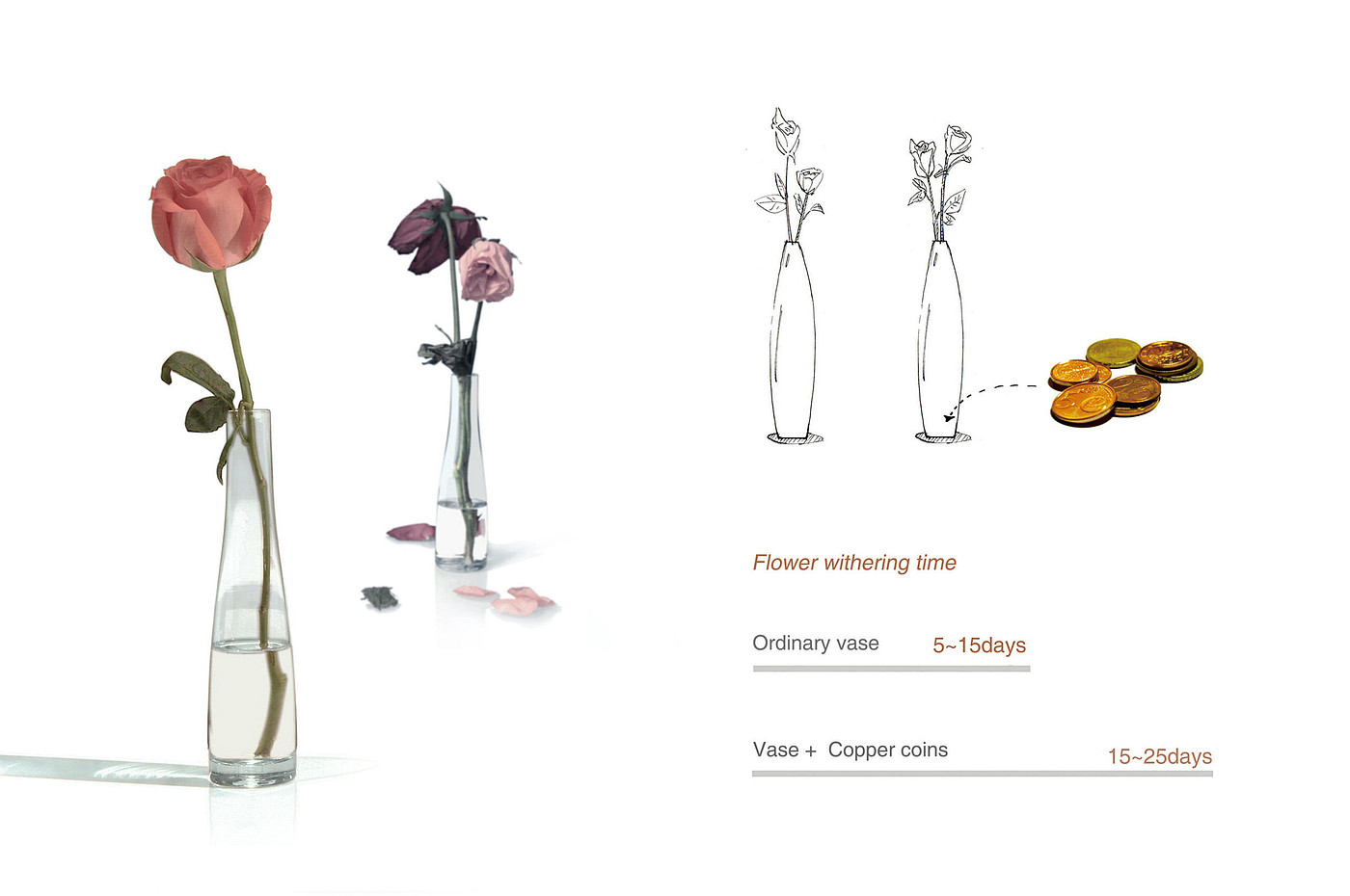 vase，Luminous，