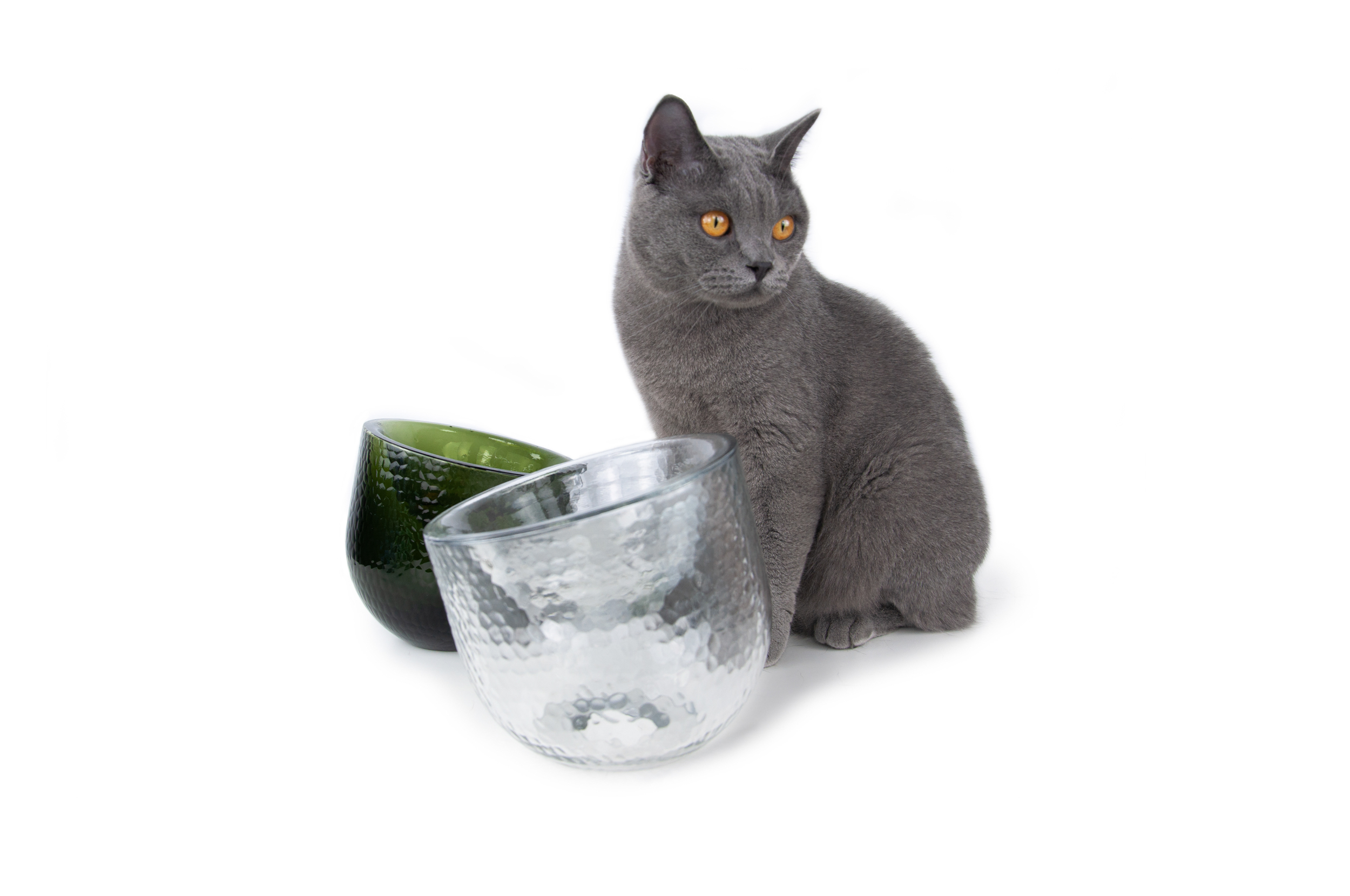 Sinec，Dinner，Pet bowl，