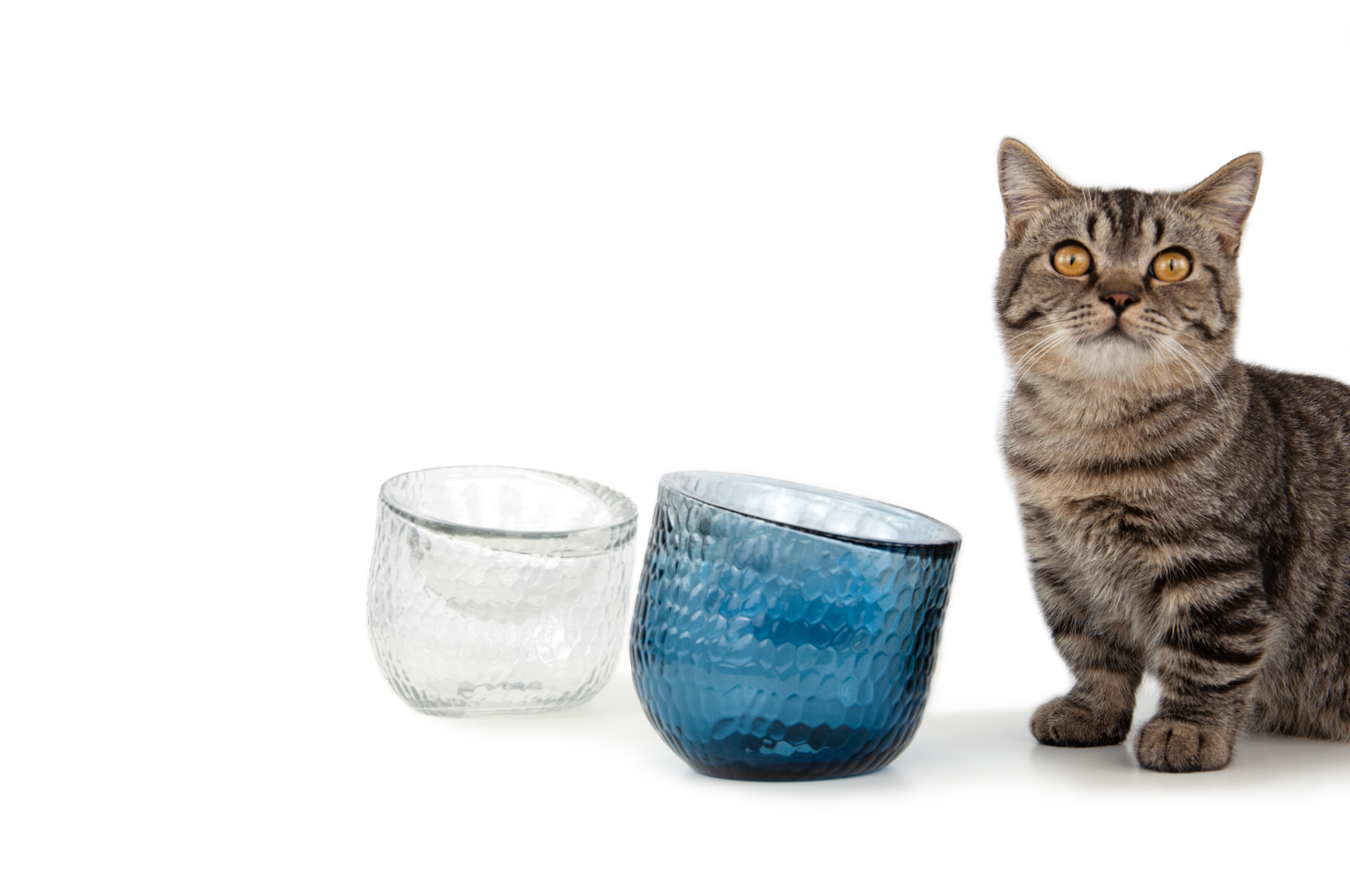 Sinec，Dinner，Pet bowl，