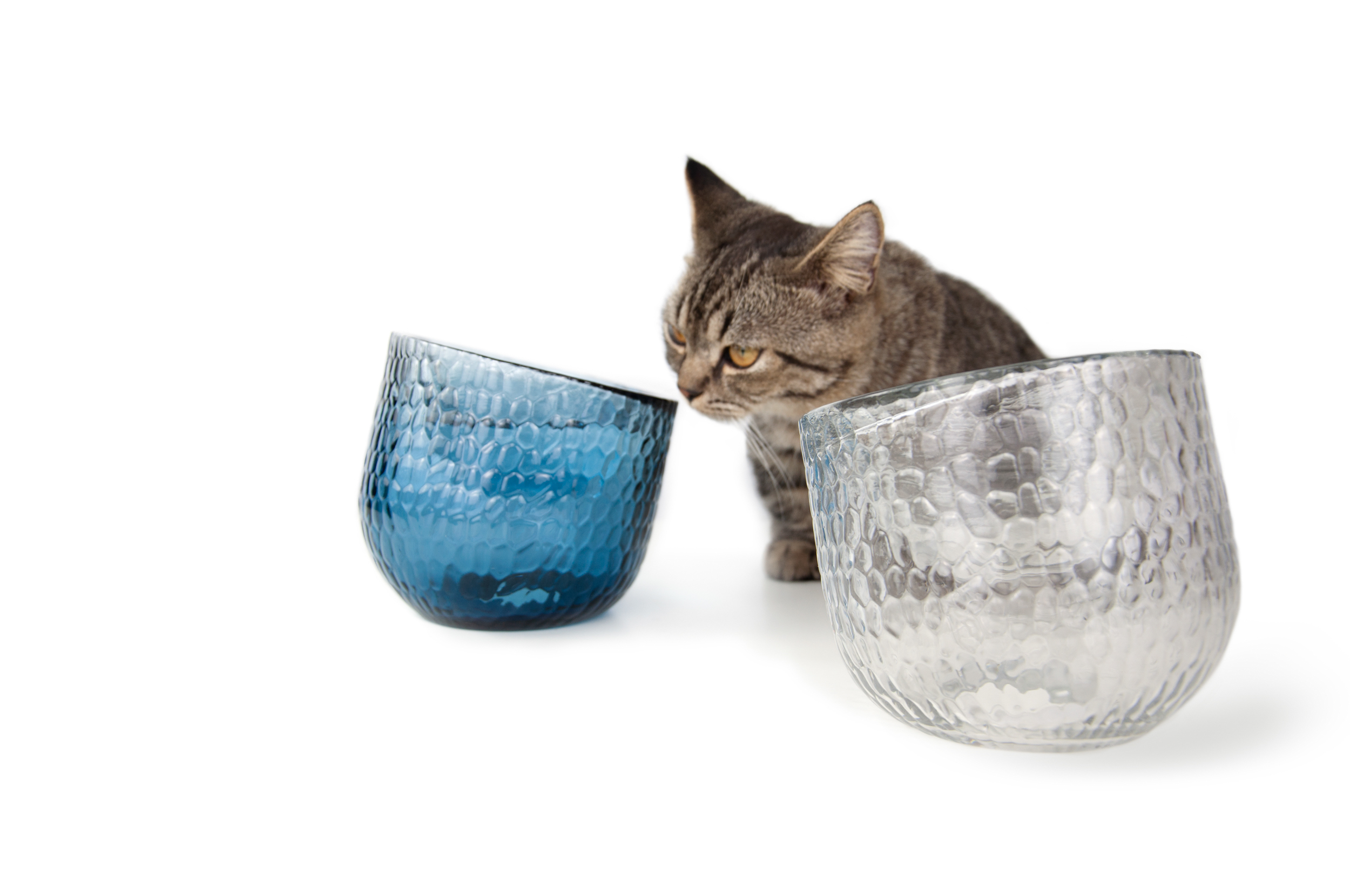 Sinec，Dinner，Pet bowl，