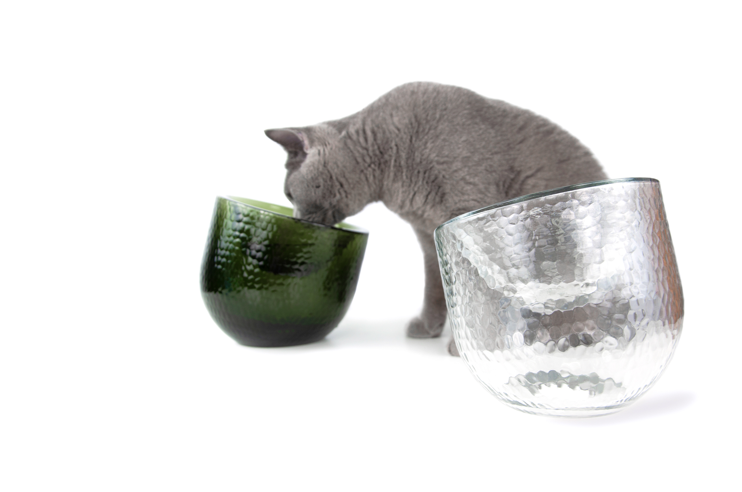 Sinec，Dinner，Pet bowl，