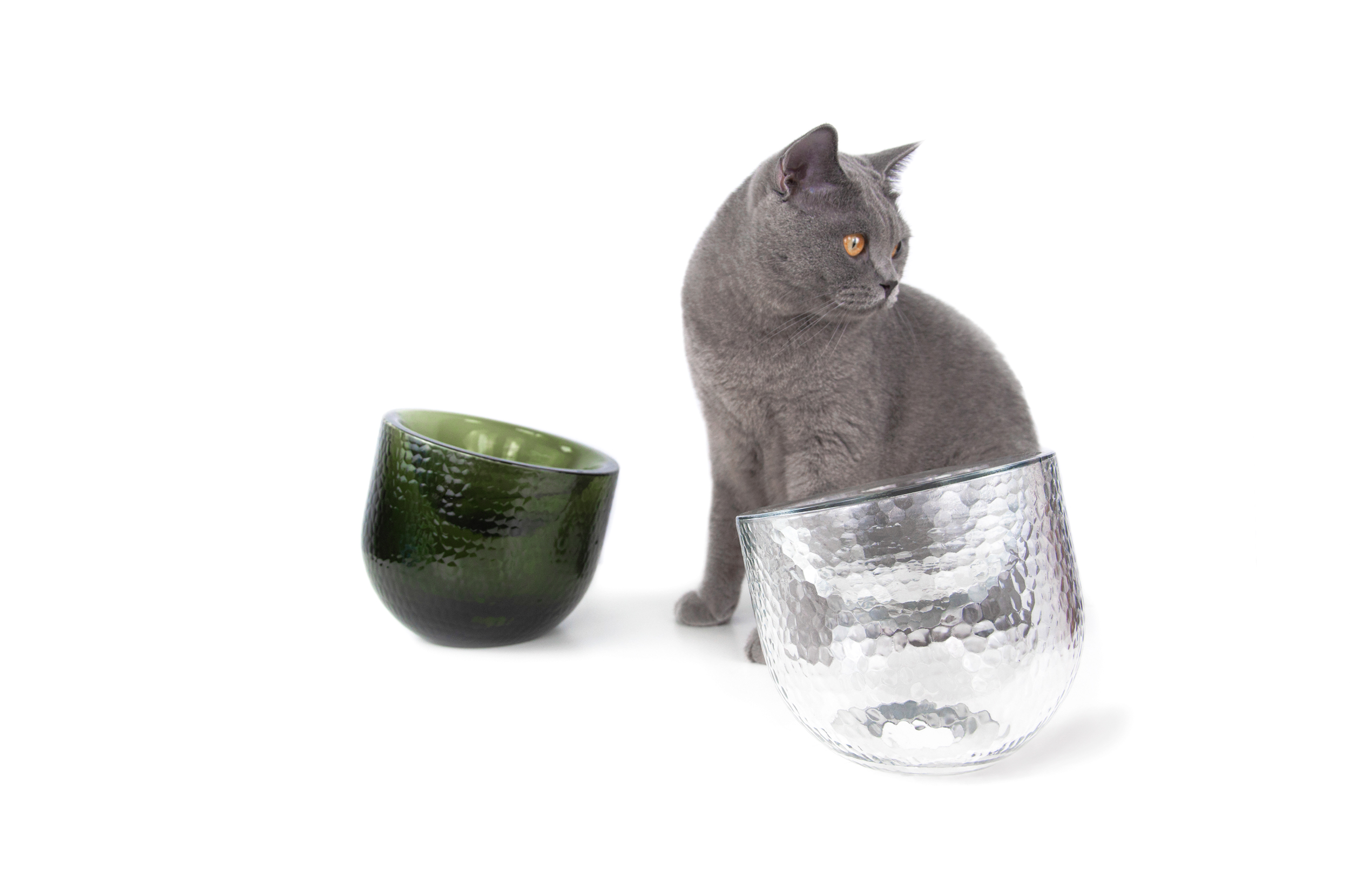 Sinec，Dinner，Pet bowl，