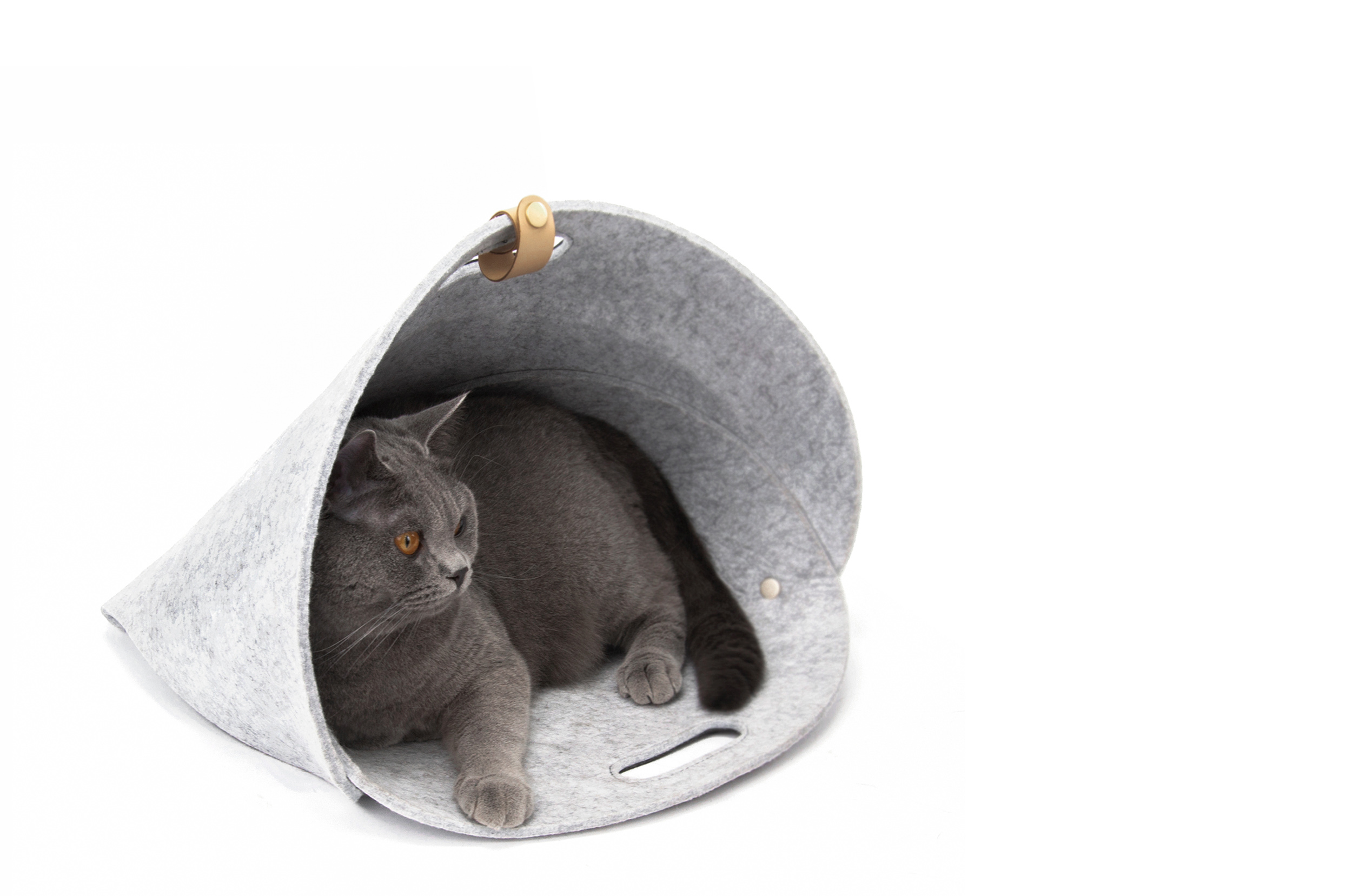 fold，Pet bag，convenient，Travel Bag，interactive quality，