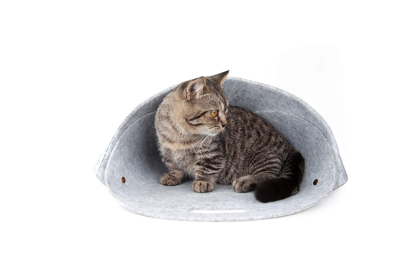 fold，Pet bag，convenient，Travel Bag，interactive quality，