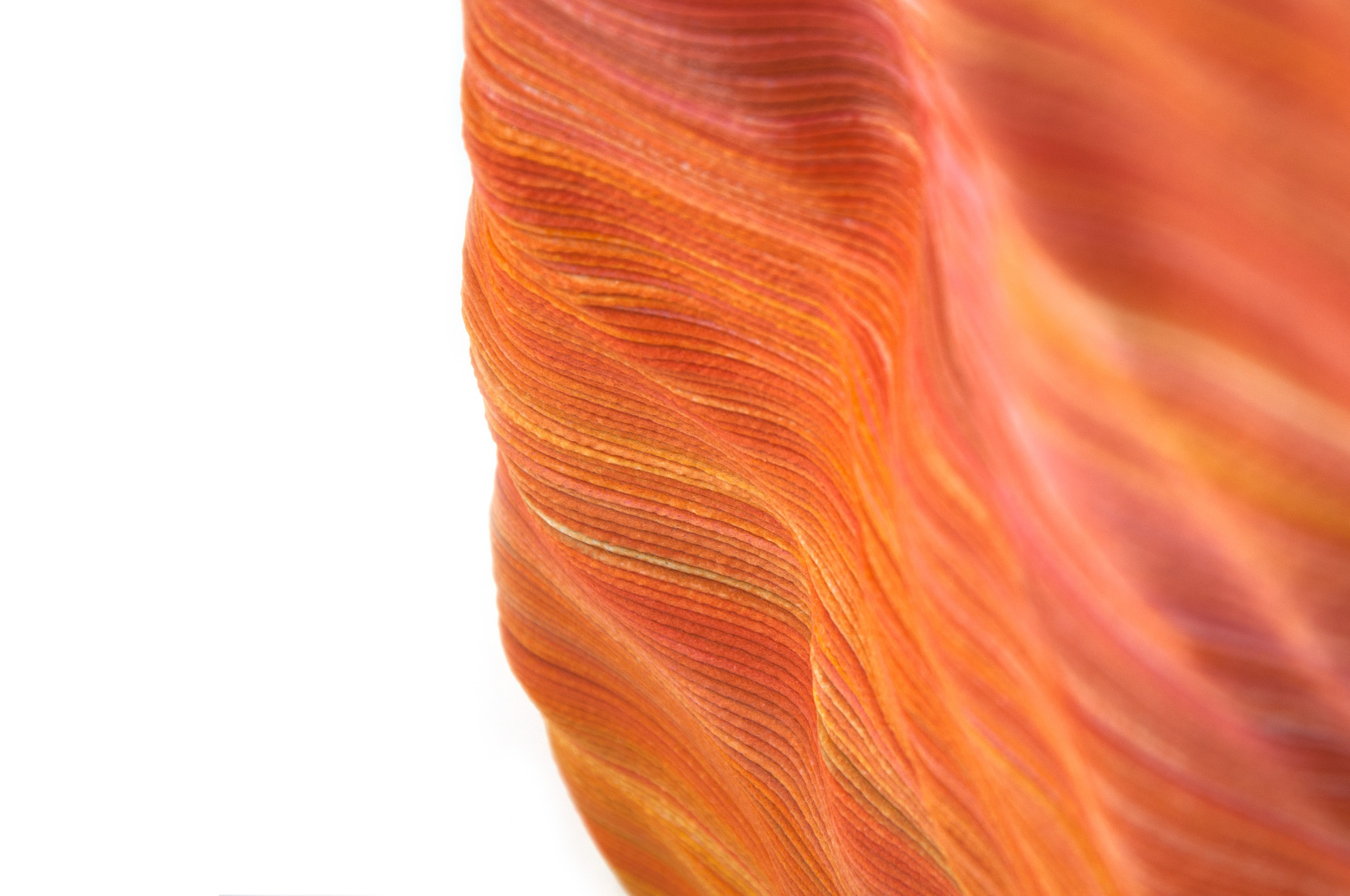 American antelope valley，3D printing，Gradient printing，resin，PETG，