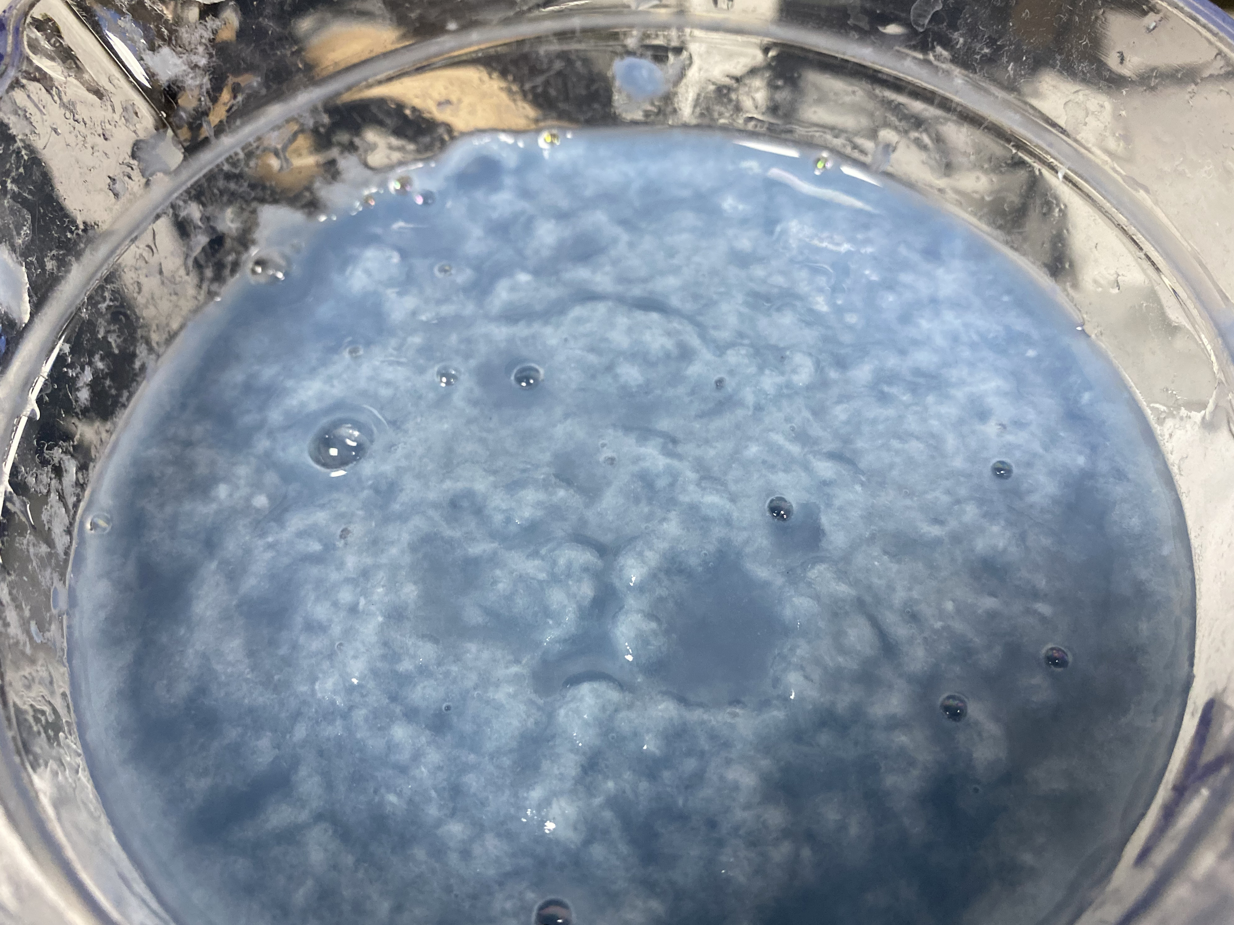 pulp，Traditional craft，Bluegrass，Blue dye，Plant dye，Environmental protection materials，