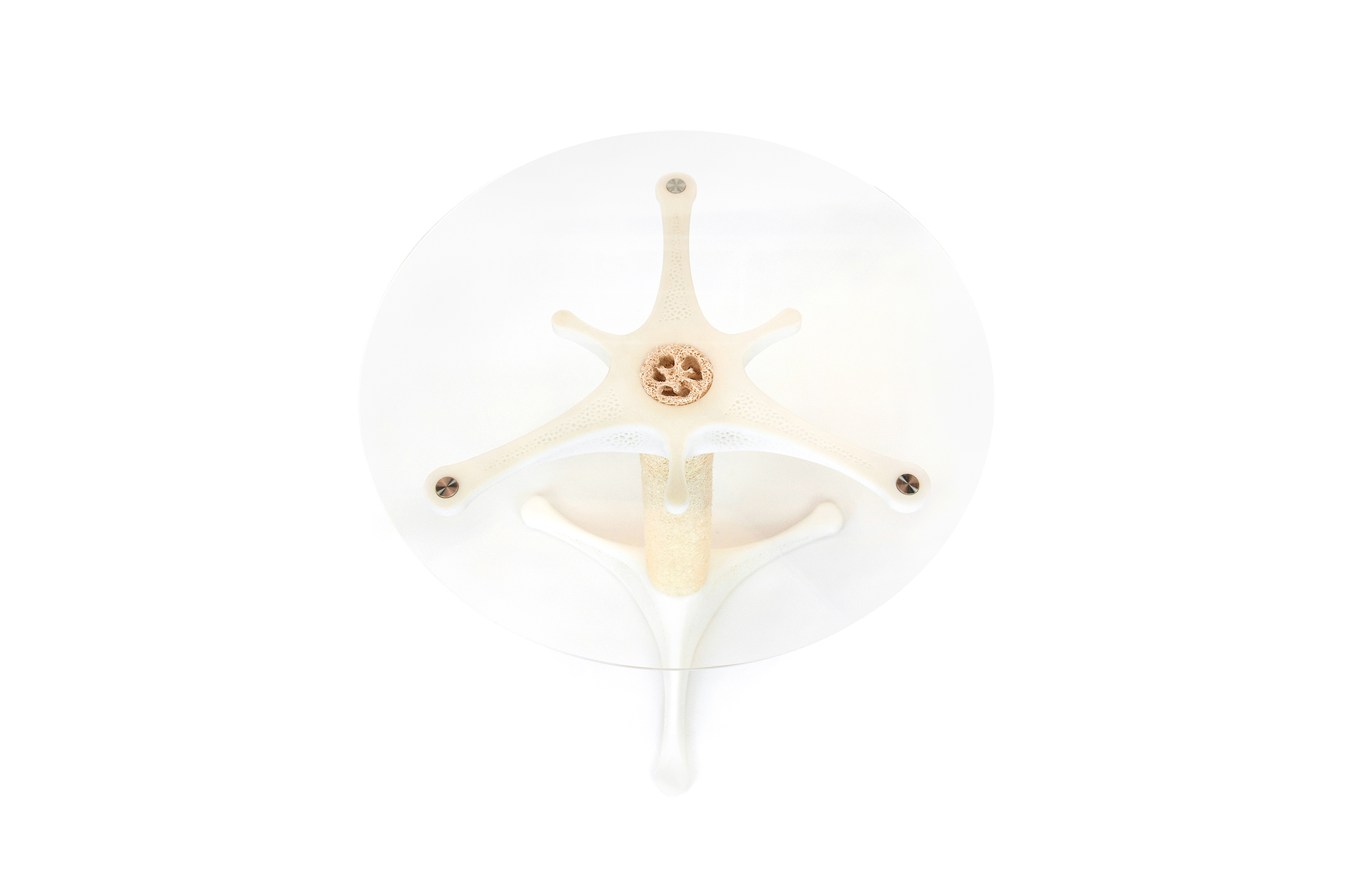 Towel gourd，3D printing，Parameterization，Natural materials，