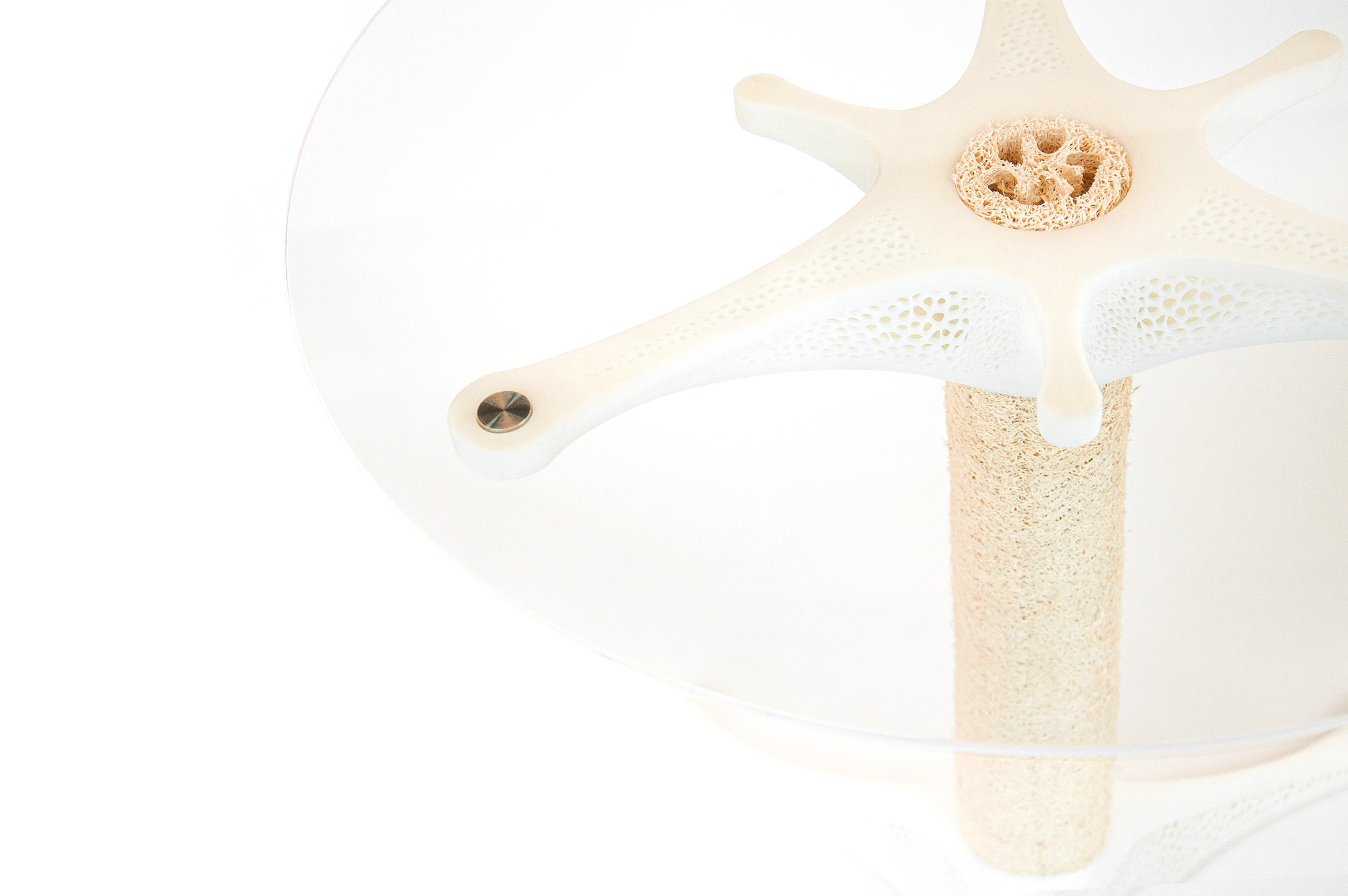 Towel gourd，3D printing，Parameterization，Natural materials，