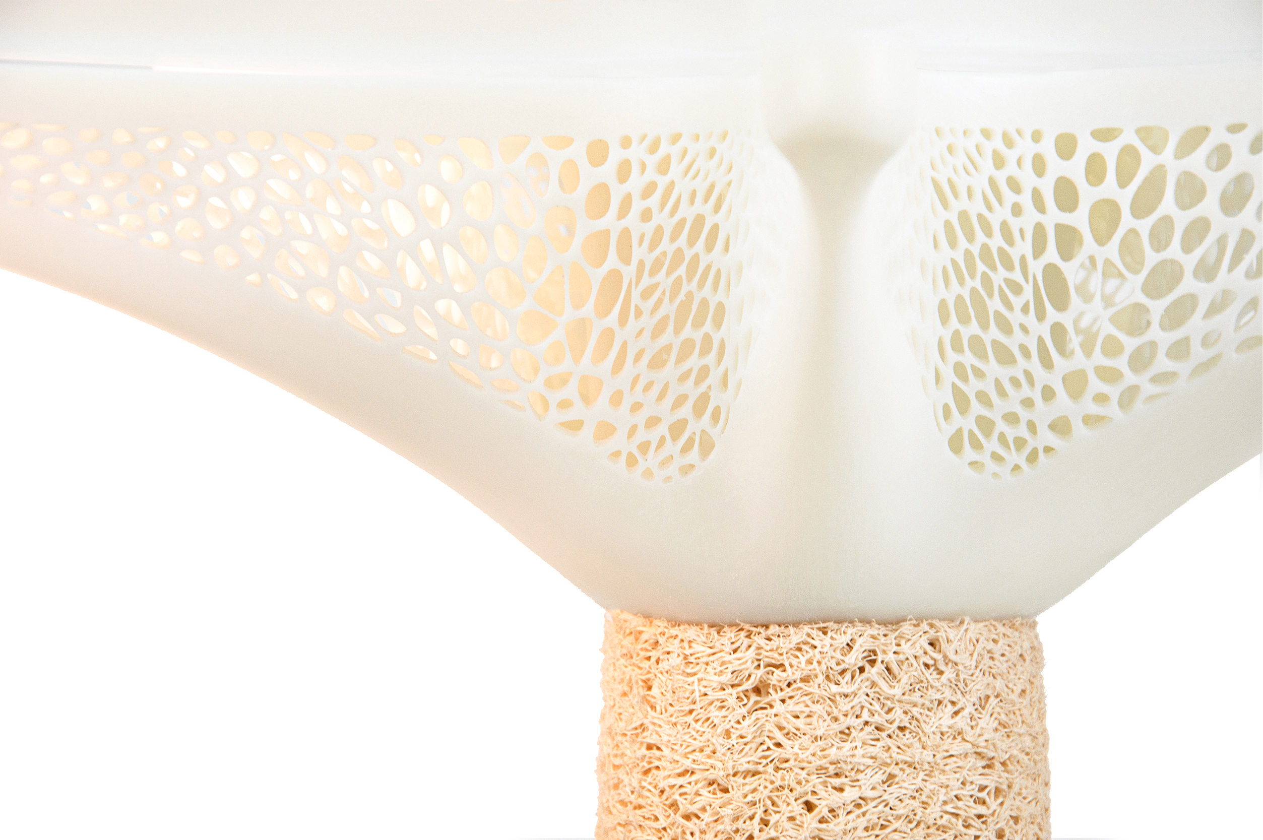 Towel gourd，3D printing，Parameterization，Natural materials，