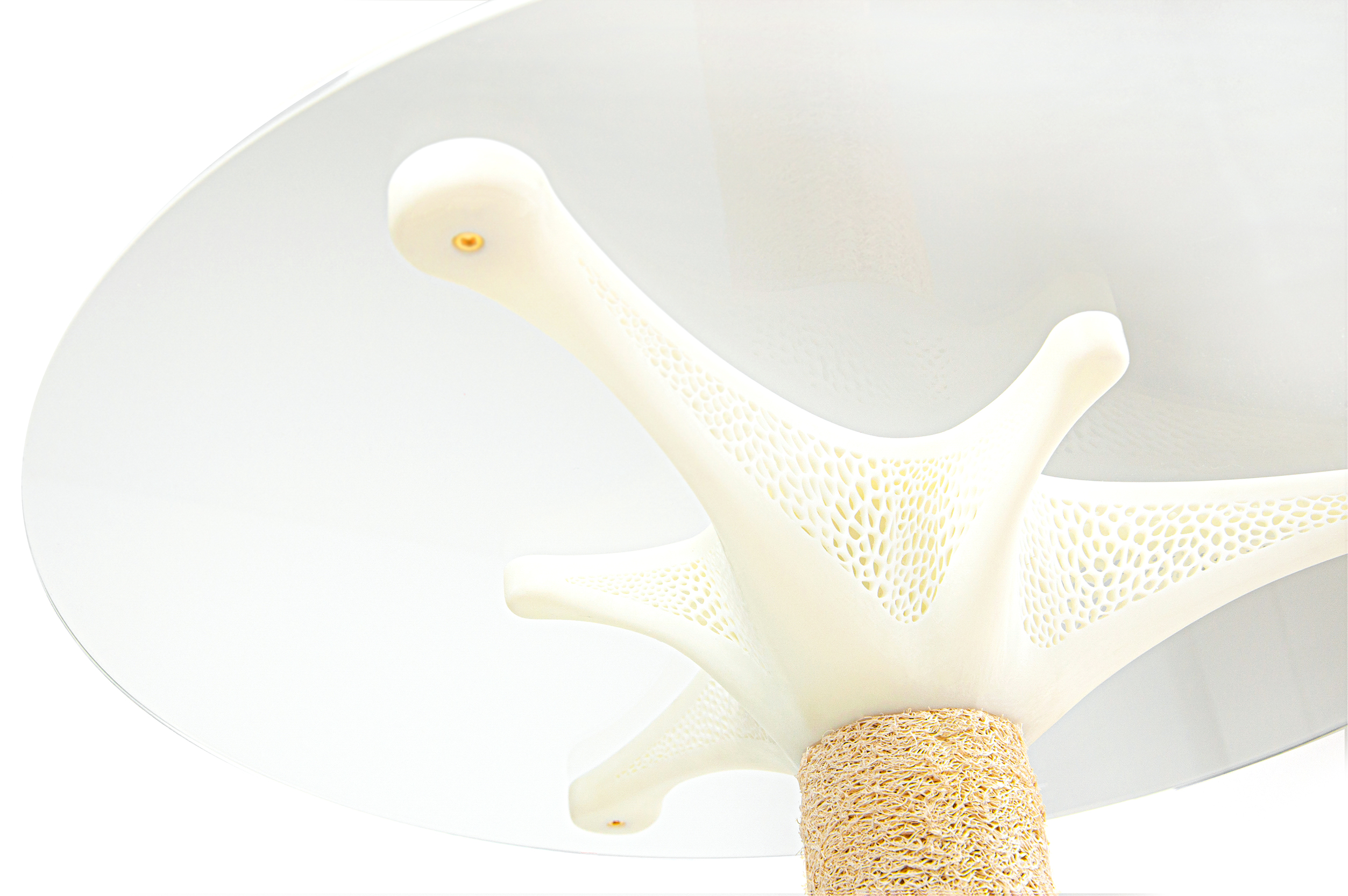 Towel gourd，3D printing，Parameterization，Natural materials，