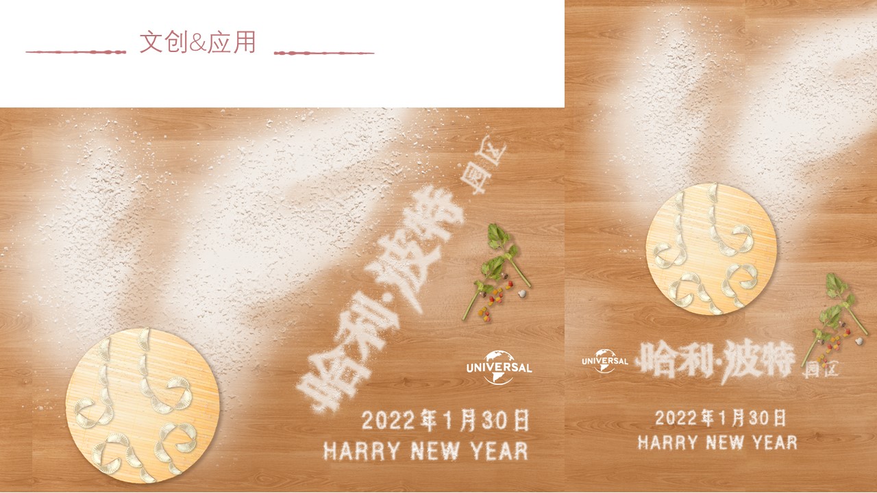 Harry Potter，Brand design，Localization design，logo，Character design，