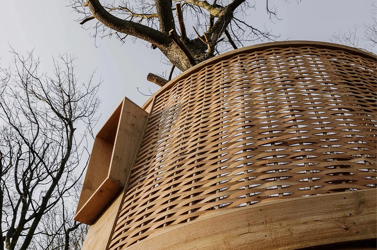 Tree House，Architectural design，wooden ，Art，