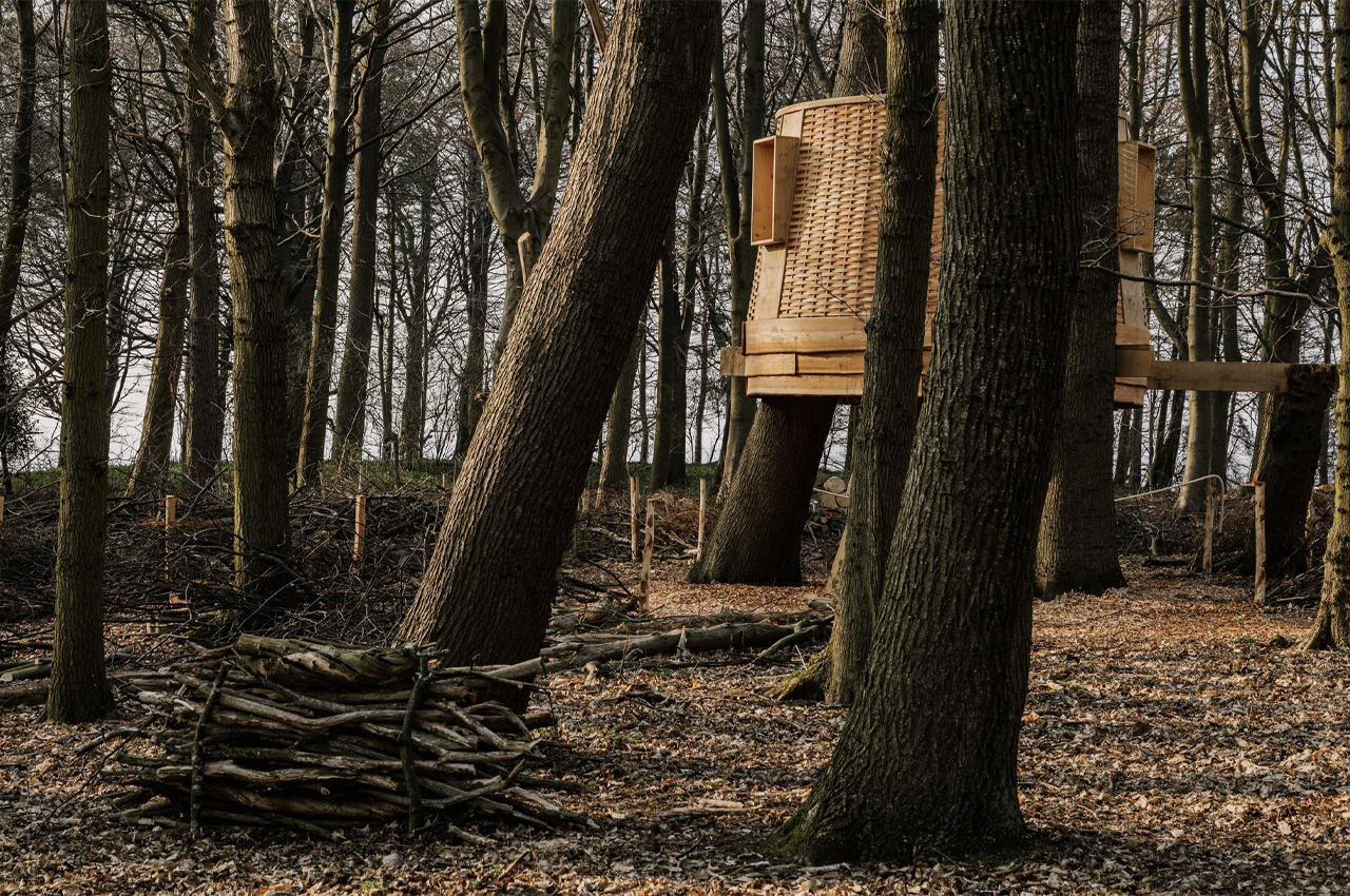 Tree House，Architectural design，wooden ，Art，