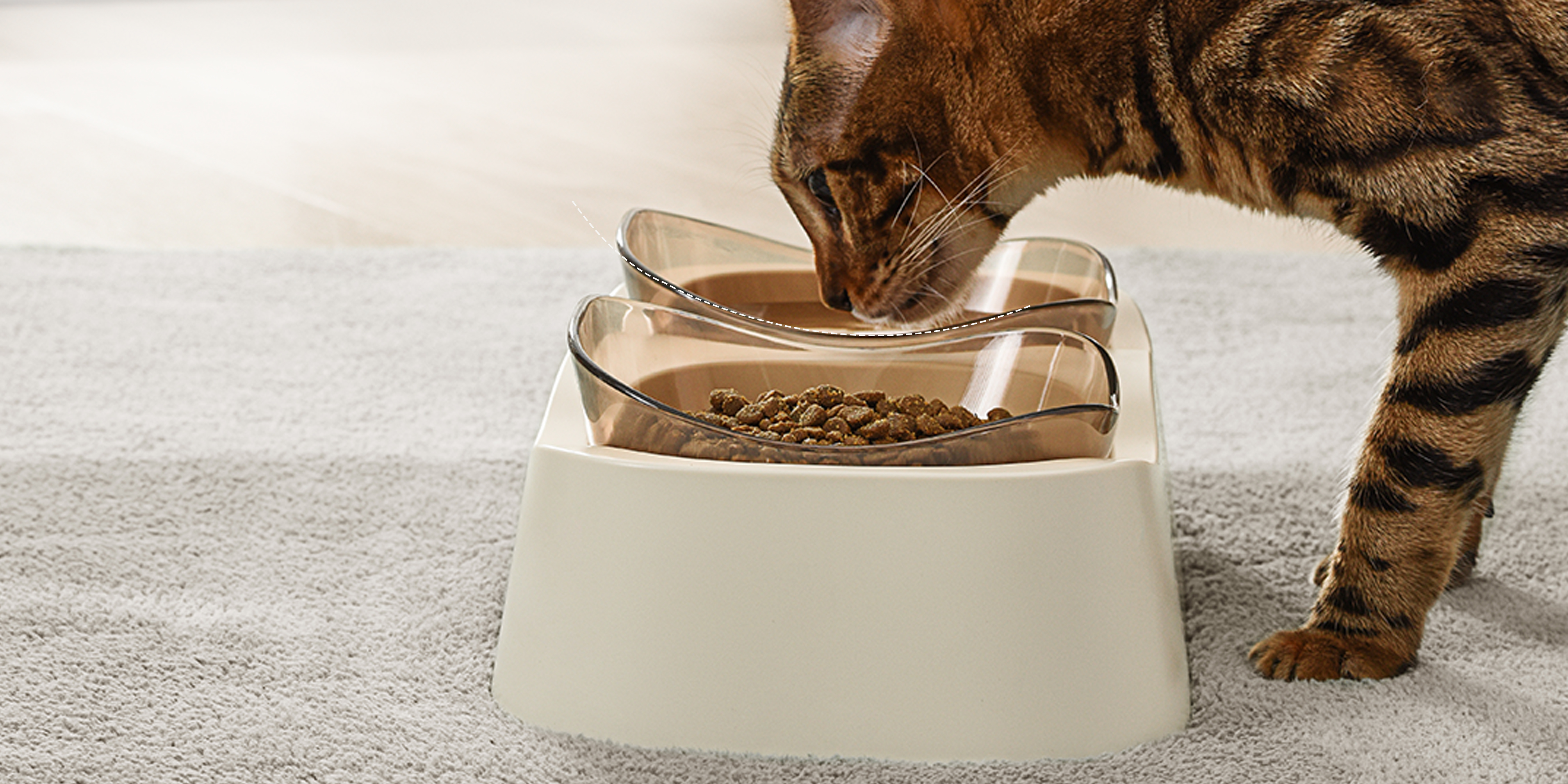 Cat machine engineering，Pet Feeding Bowl，Pet water bowl，Pet bowl，Cat bowl，Pet grain bowl，Housewear & Furnishings，bowl，