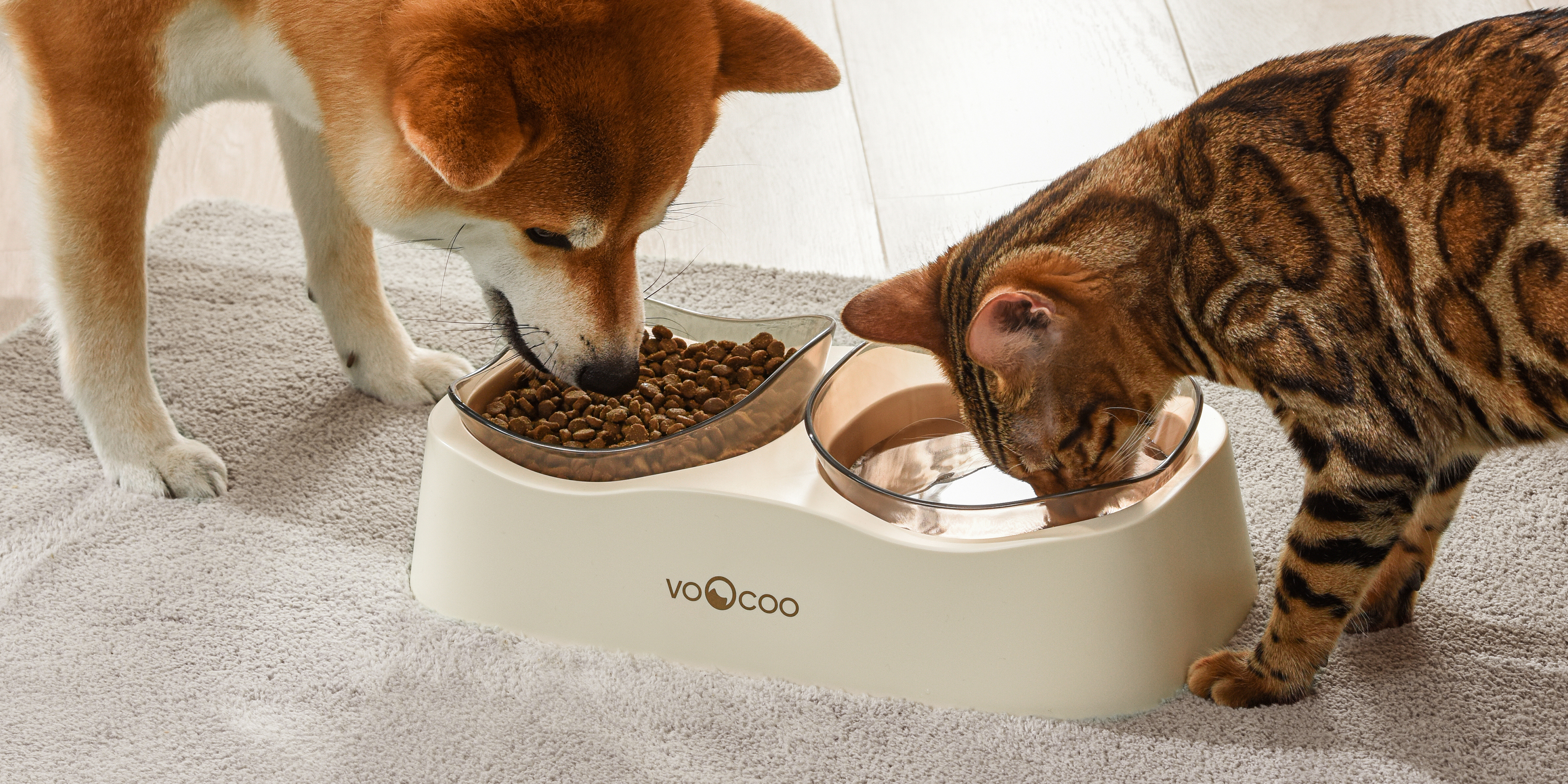 Cat machine engineering，Pet Feeding Bowl，Pet water bowl，Pet bowl，Cat bowl，Pet grain bowl，Housewear & Furnishings，bowl，