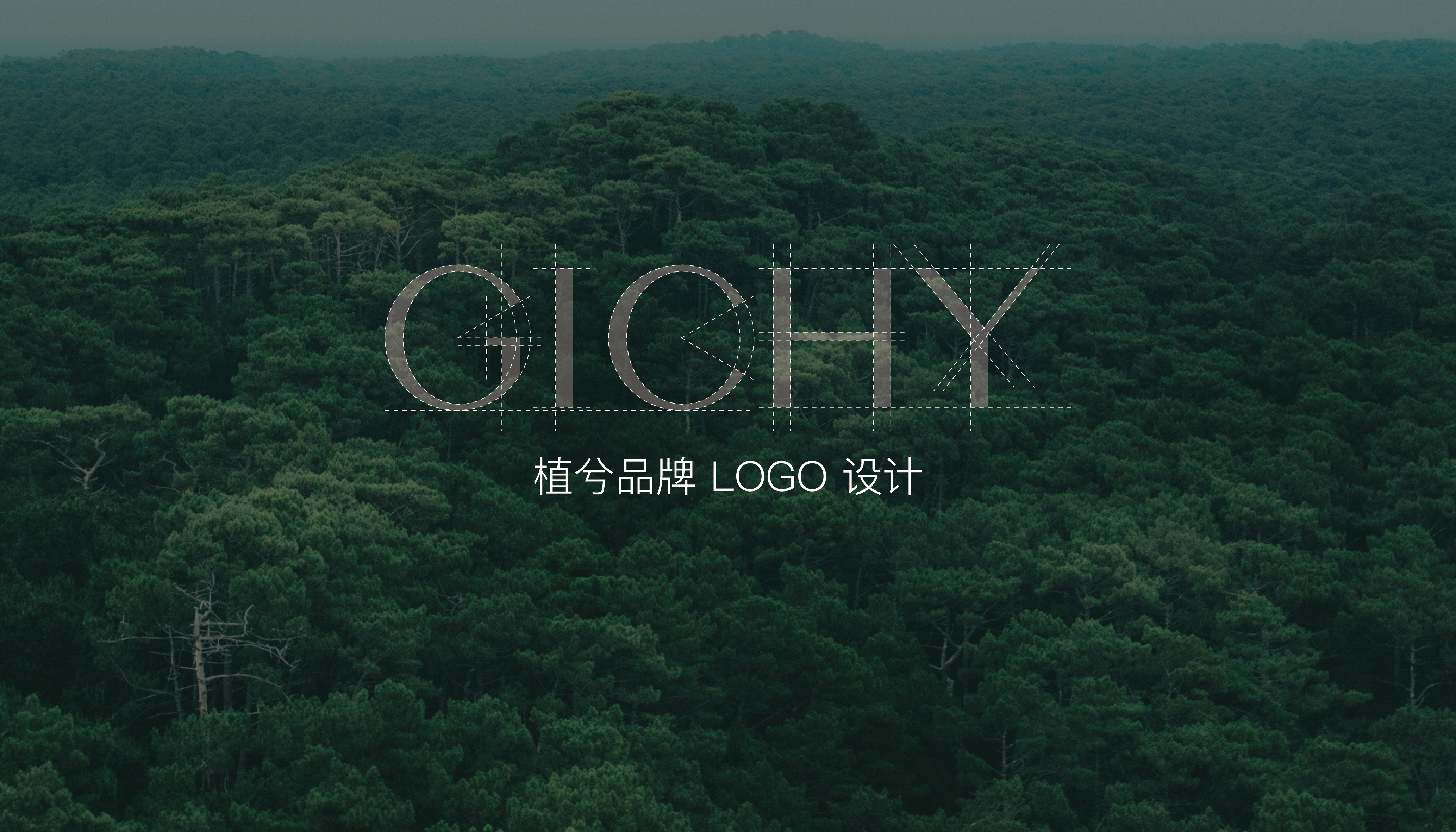 Brand design，Full case planning，Daily chemical protection，