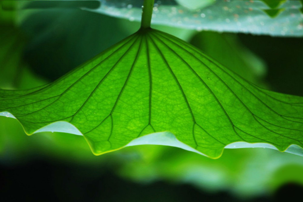 Move the beauty into the kitchen.，