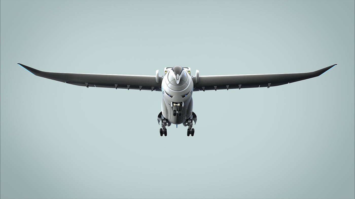 Bird, Airbus，