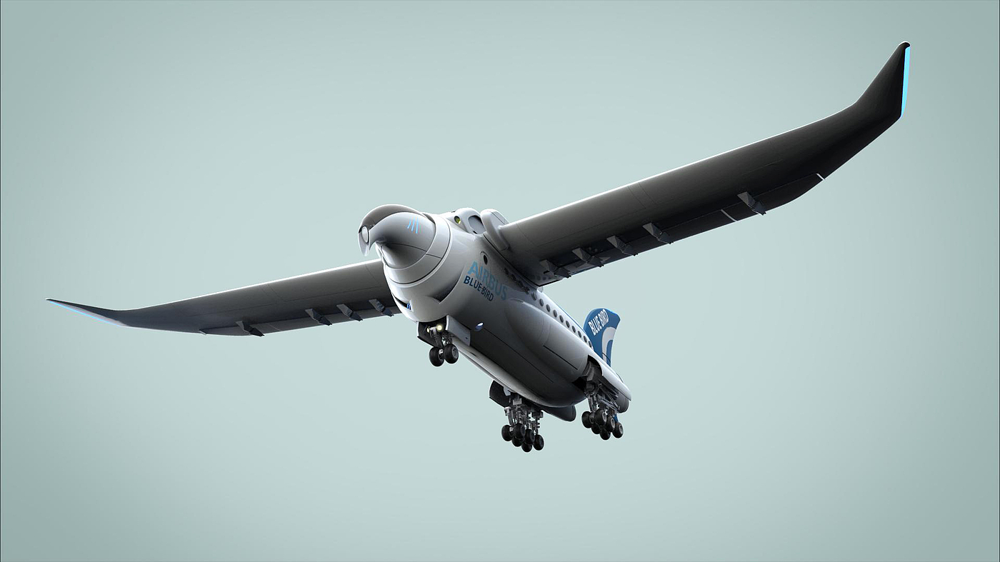Bird, Airbus，