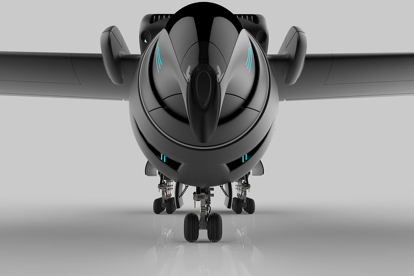 Bird, Airbus，