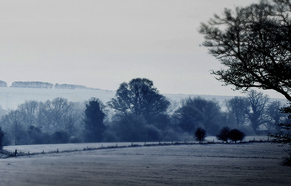 raven，vehicle，Sports car，conceptual design，