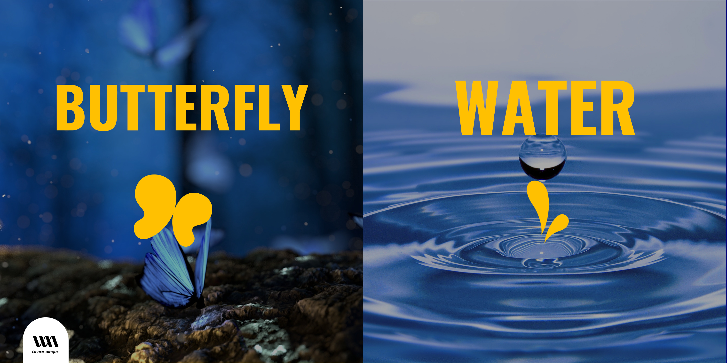 brand，packing design，Brand planning，Jia Qing，kitchen and toilet，butterfly，