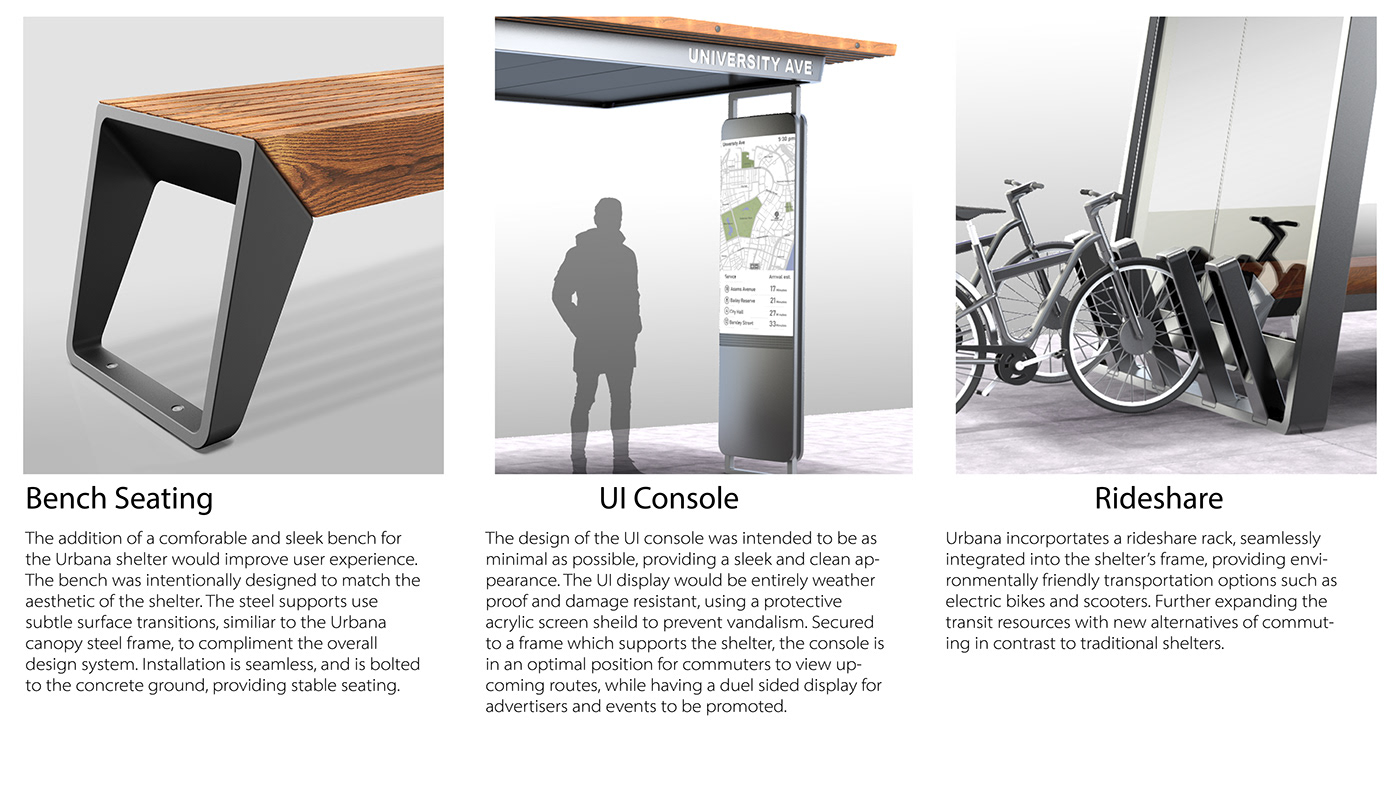 transit，sanctuary，city，