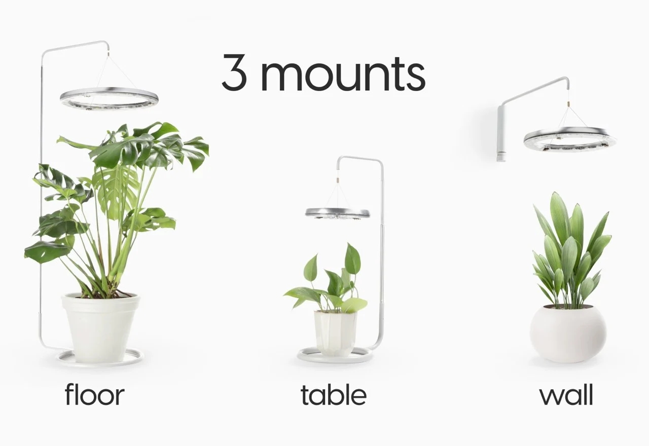 CURA，Plant growth equipment，Automation system，floodlight，