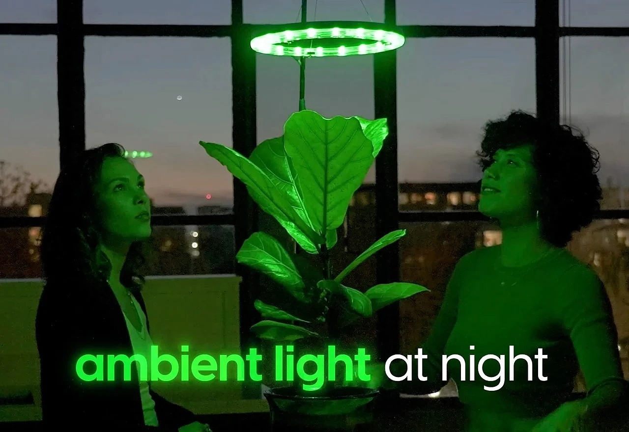 CURA，植物生长设备，自动化系统，照明灯，