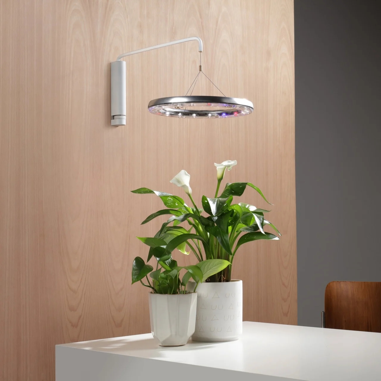 CURA，Plant growth equipment，Automation system，floodlight，