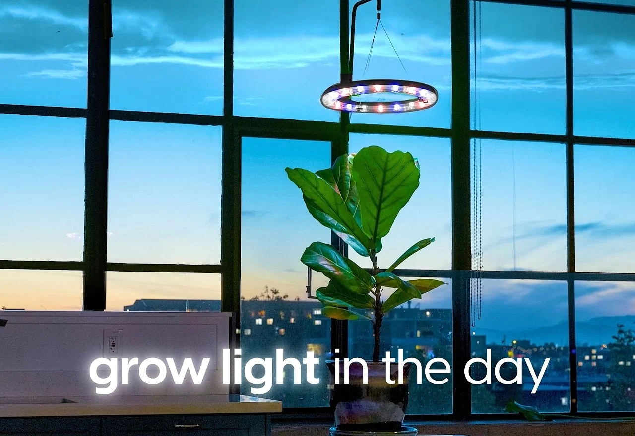 CURA，植物生长设备，自动化系统，照明灯，