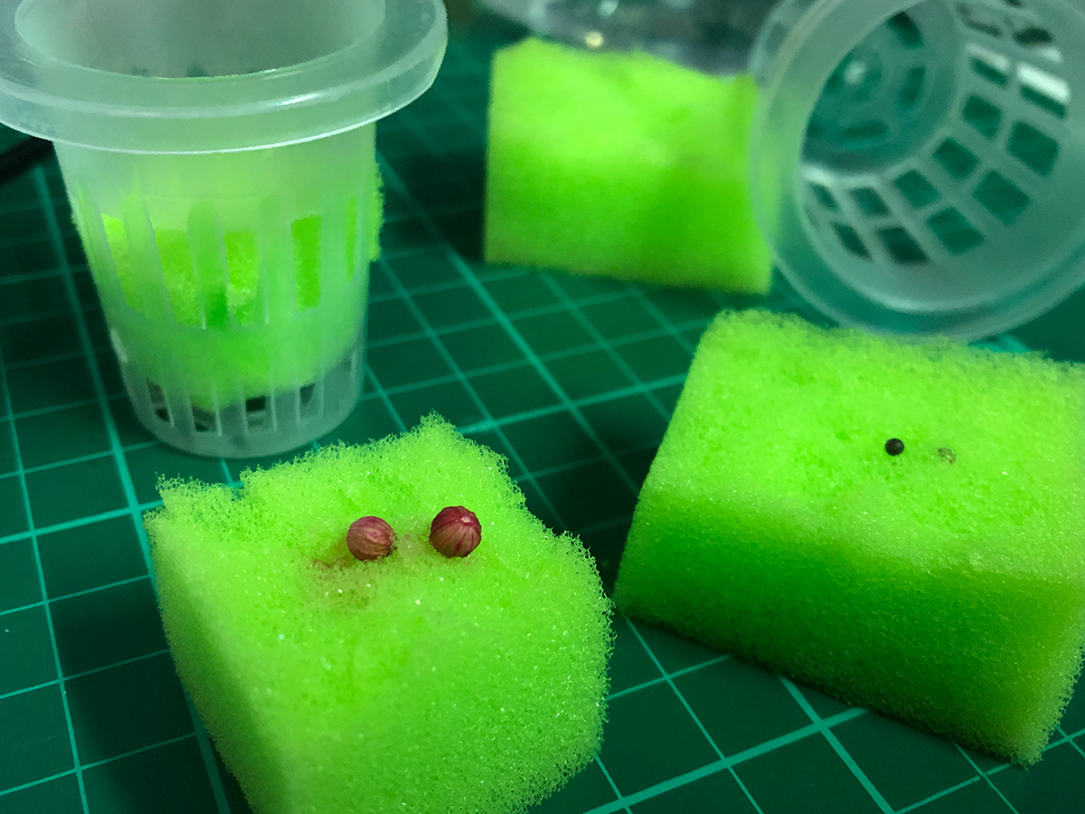 Air，Indoor planter，indoor planter，