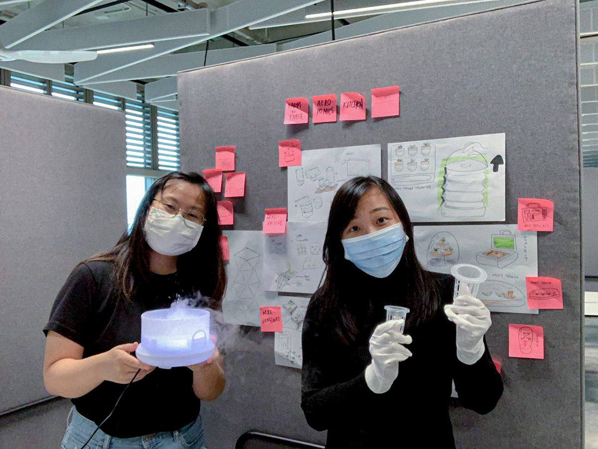 Air，Indoor planter，indoor planter，