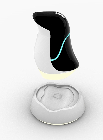 penguin，sound，