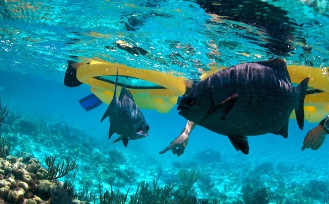 Zayak，Floating equipment，Neoprene lining，Made of plastic，