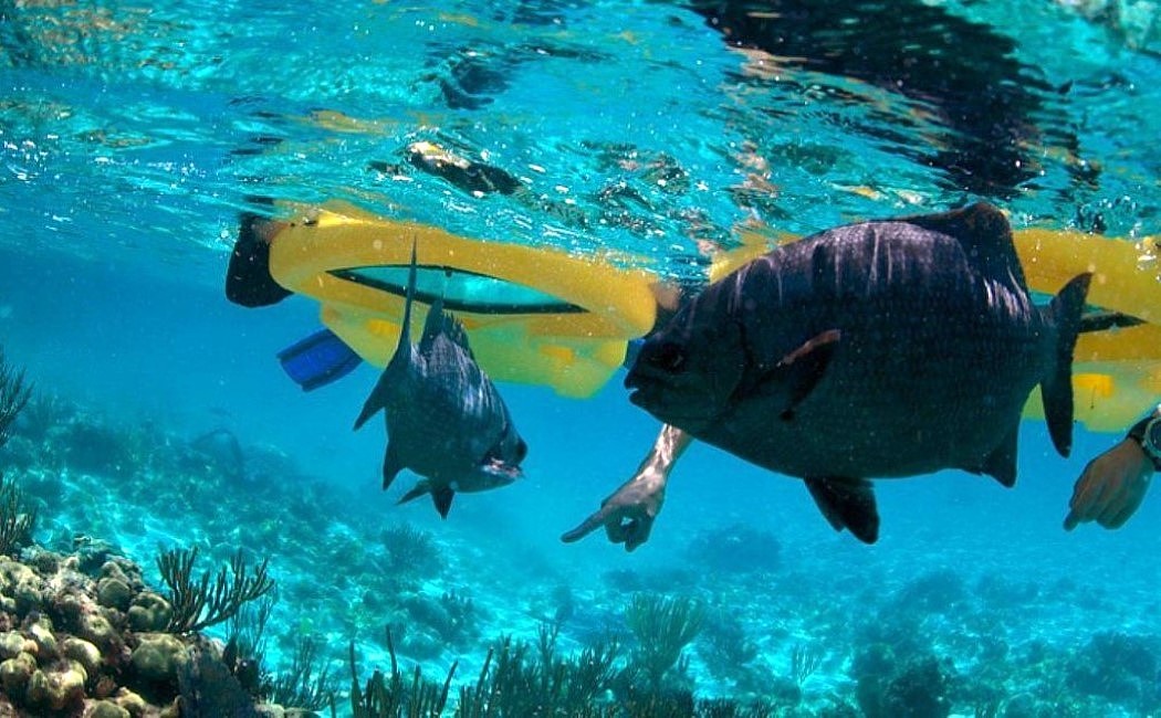Zayak，Floating equipment，Neoprene lining，Made of plastic，