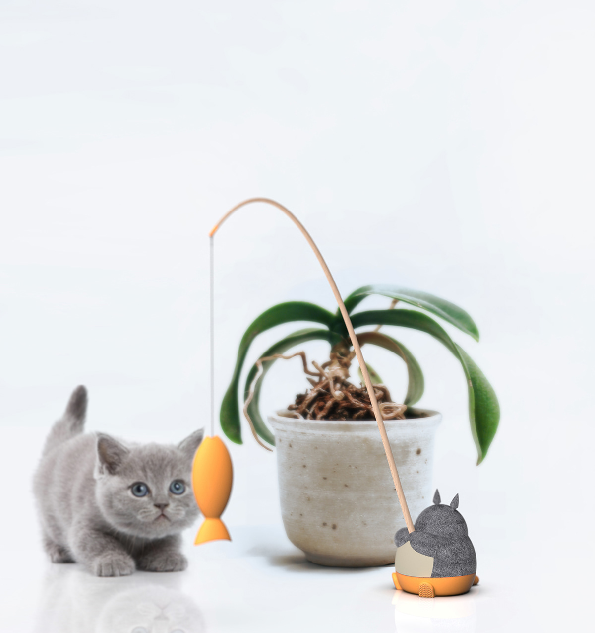 Pets，Toys，cat，