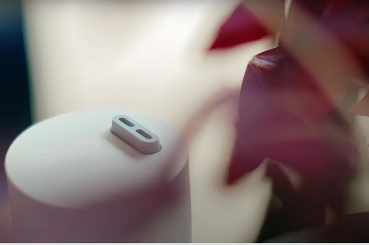 Botany，purify，originality，