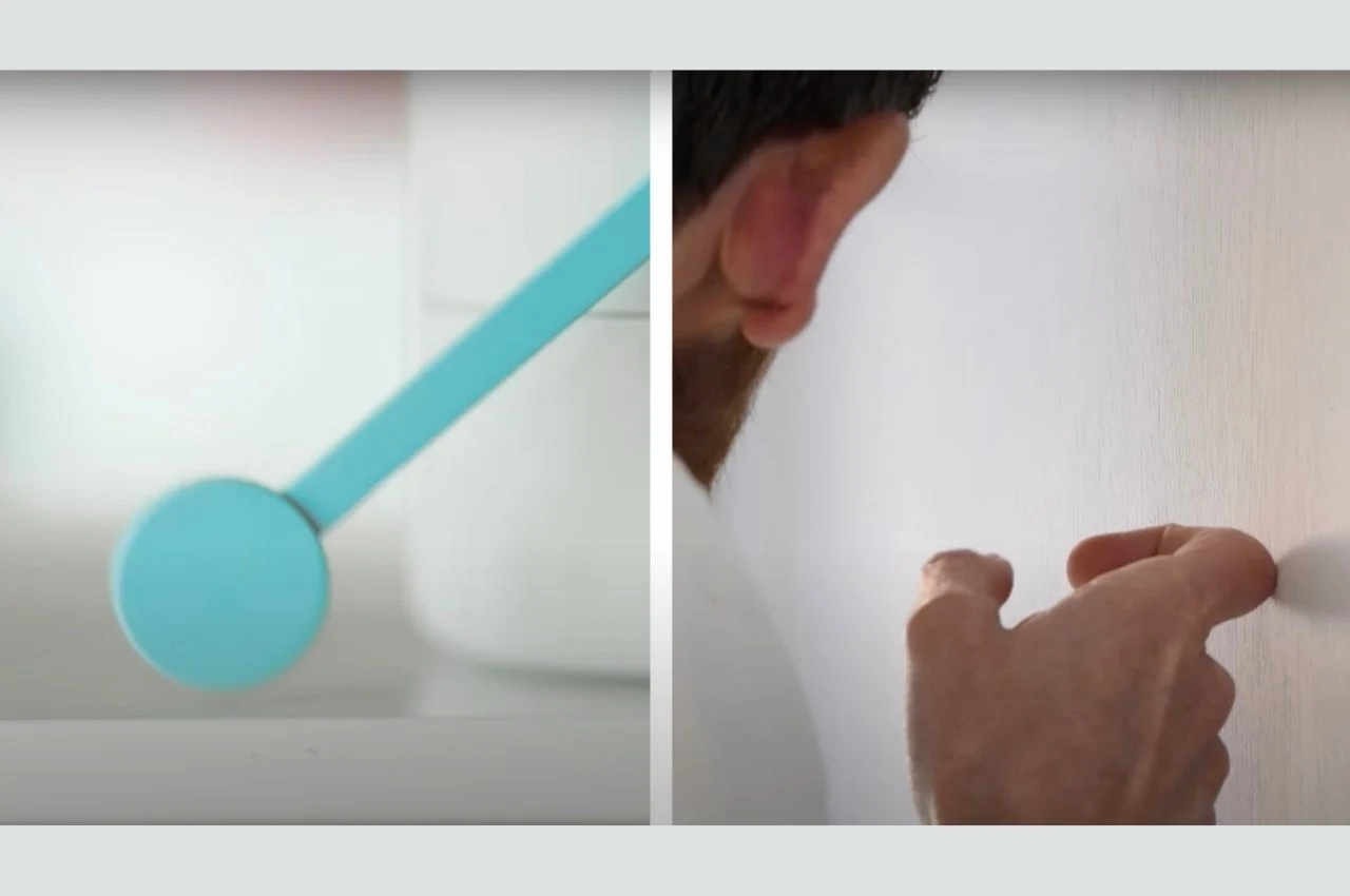 Botany，purify，originality，