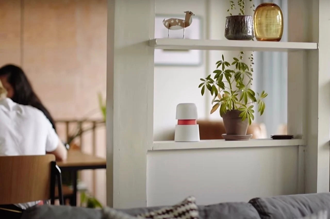 Botany，purify，originality，