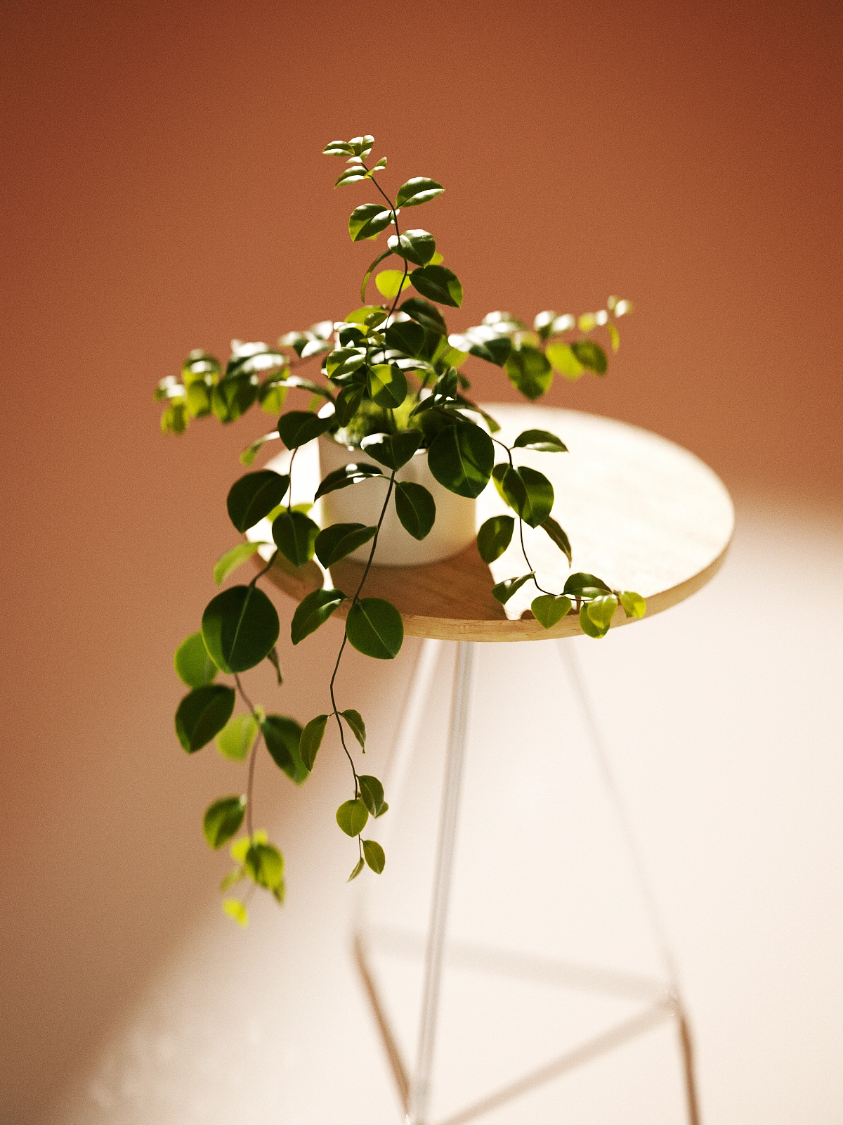 c4d，Product rendering，octane，Indoor rendering，