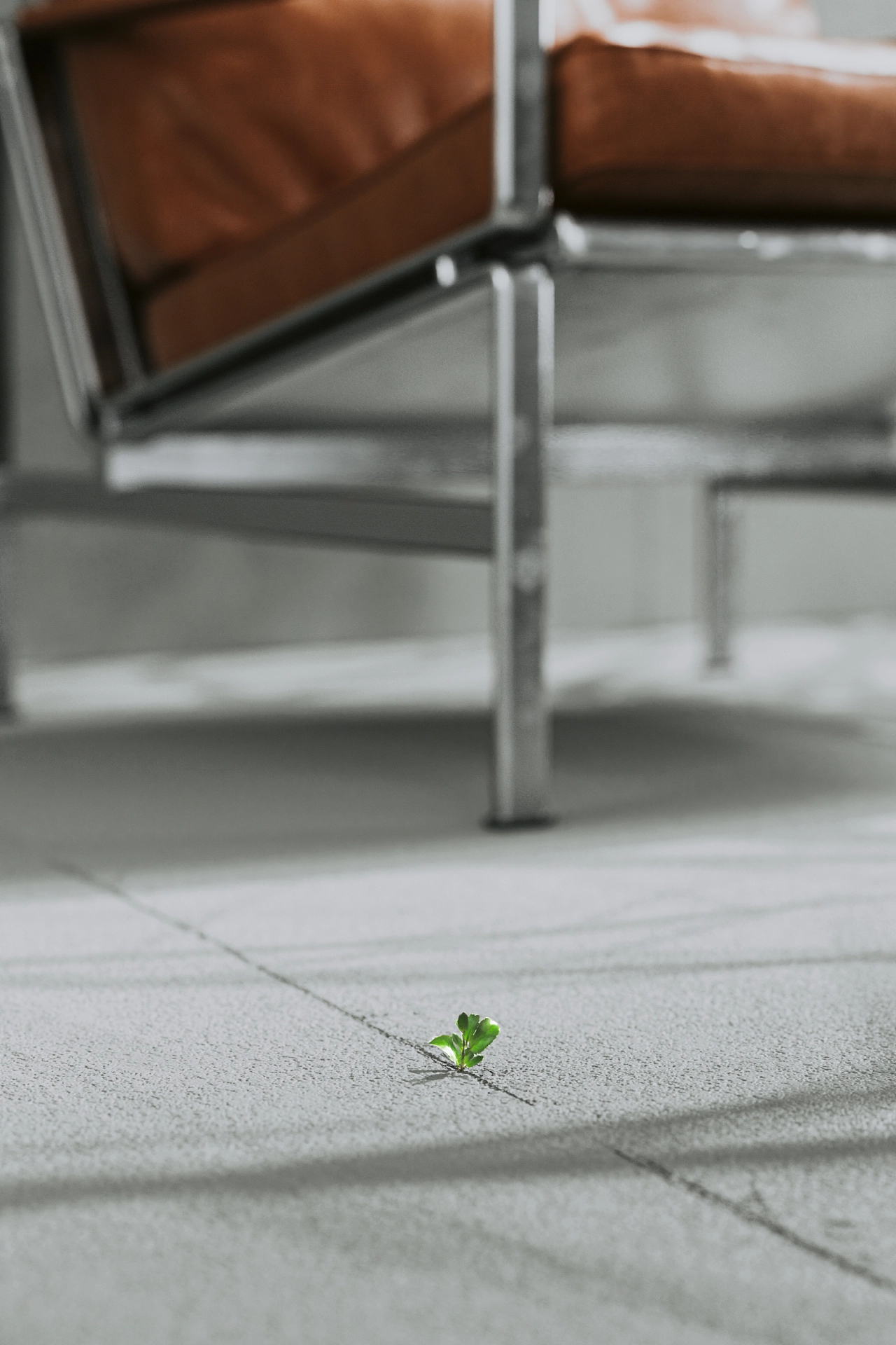 c4d，Product rendering，octane，Indoor rendering，