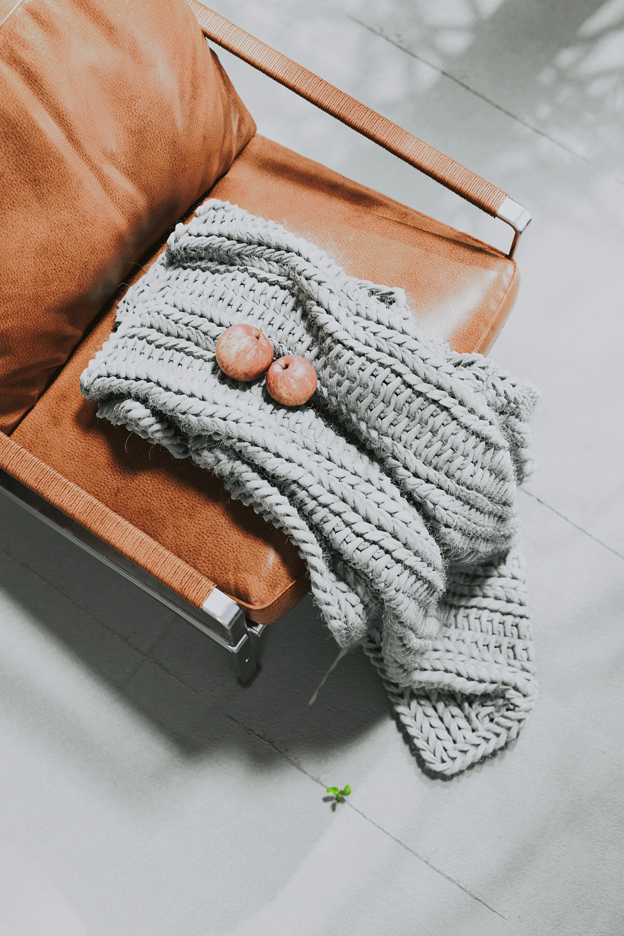 c4d，Product rendering，octane，Indoor rendering，