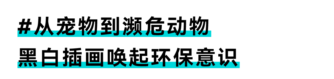 packing design，Public Welfare Design，senior，Green environmental protection，Glue-free design，protect the environment，Packaging structure，Home appliance packaging，