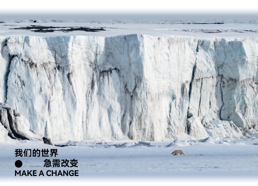 packing design，Public Welfare Design，senior，Green environmental protection，Glue-free design，protect the environment，Packaging structure，Home appliance packaging，