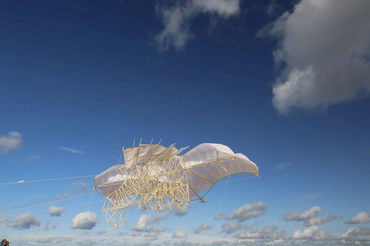 establish，diy，Flying aircraft，STRANDBEESTS，