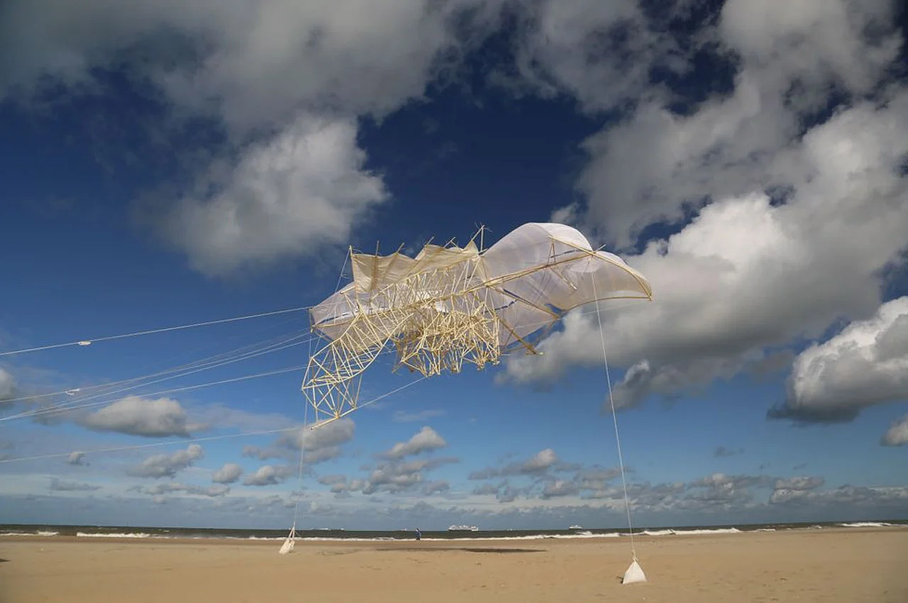 创建，diy，飞行机，STRANDBEESTS，