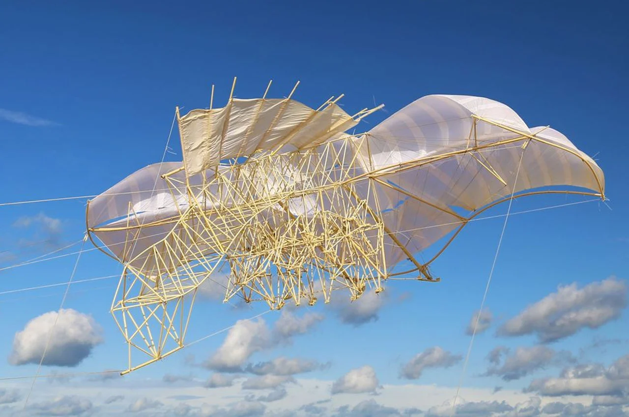 establish，diy，Flying aircraft，STRANDBEESTS，